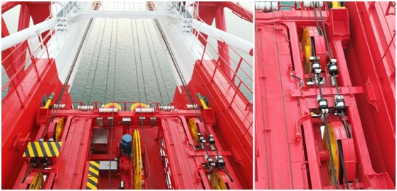 蘑菇传媒APP下载