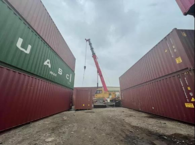 蘑菇视频着色版下载