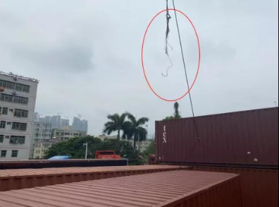 蘑菇视频着色版下载