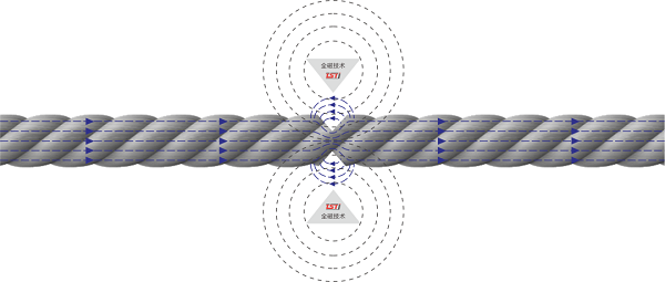 蘑菇视频着色版下载