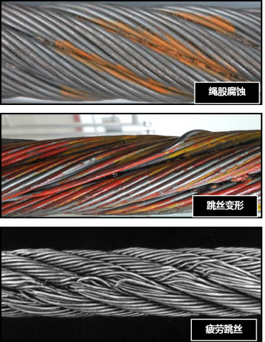 蘑菇视频着色版下载