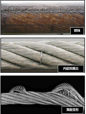 蘑菇视频着色版下载